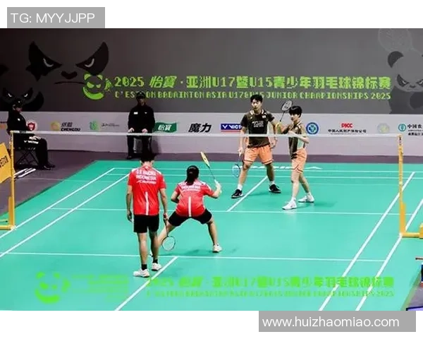 羽毛球深度解析成都羽毛球队的转型与发展之路